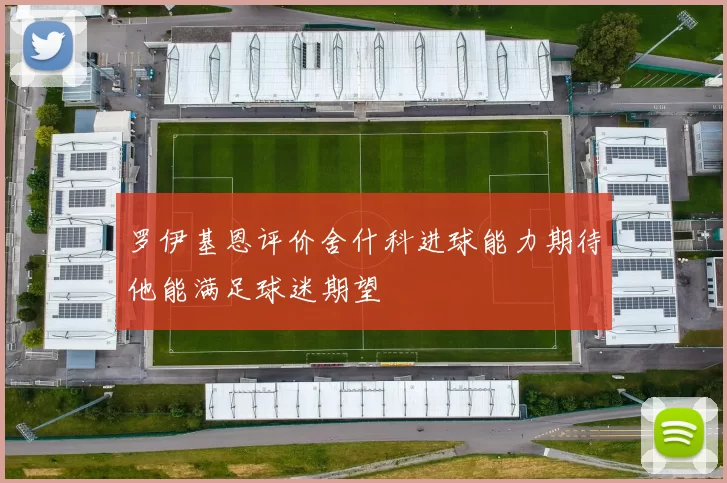 罗伊基恩评价舍什科进球能力期待他能满足球迷期望