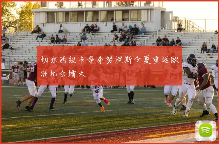 切尔西纽卡争夺努涅斯今夏重返欧洲机会增大